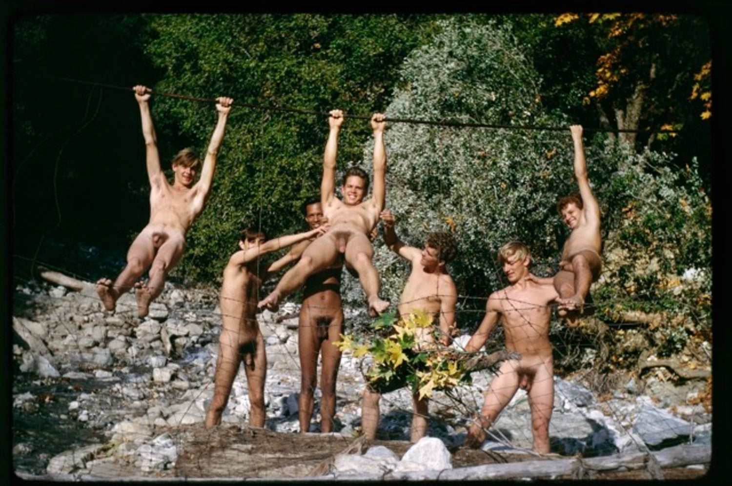 nude camps pics Seven nudists on fence], Southern California – Bob Mizer Museum and  Photographic Archives