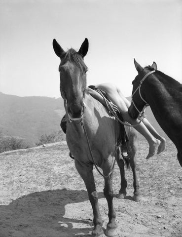 Evret Lee Jackson [with two horses], Los Angeles