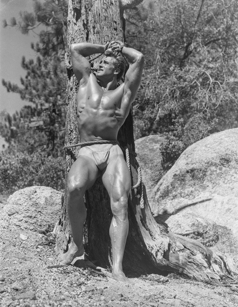 Ed Holovchik aka Ed Fury (tree), Southern California