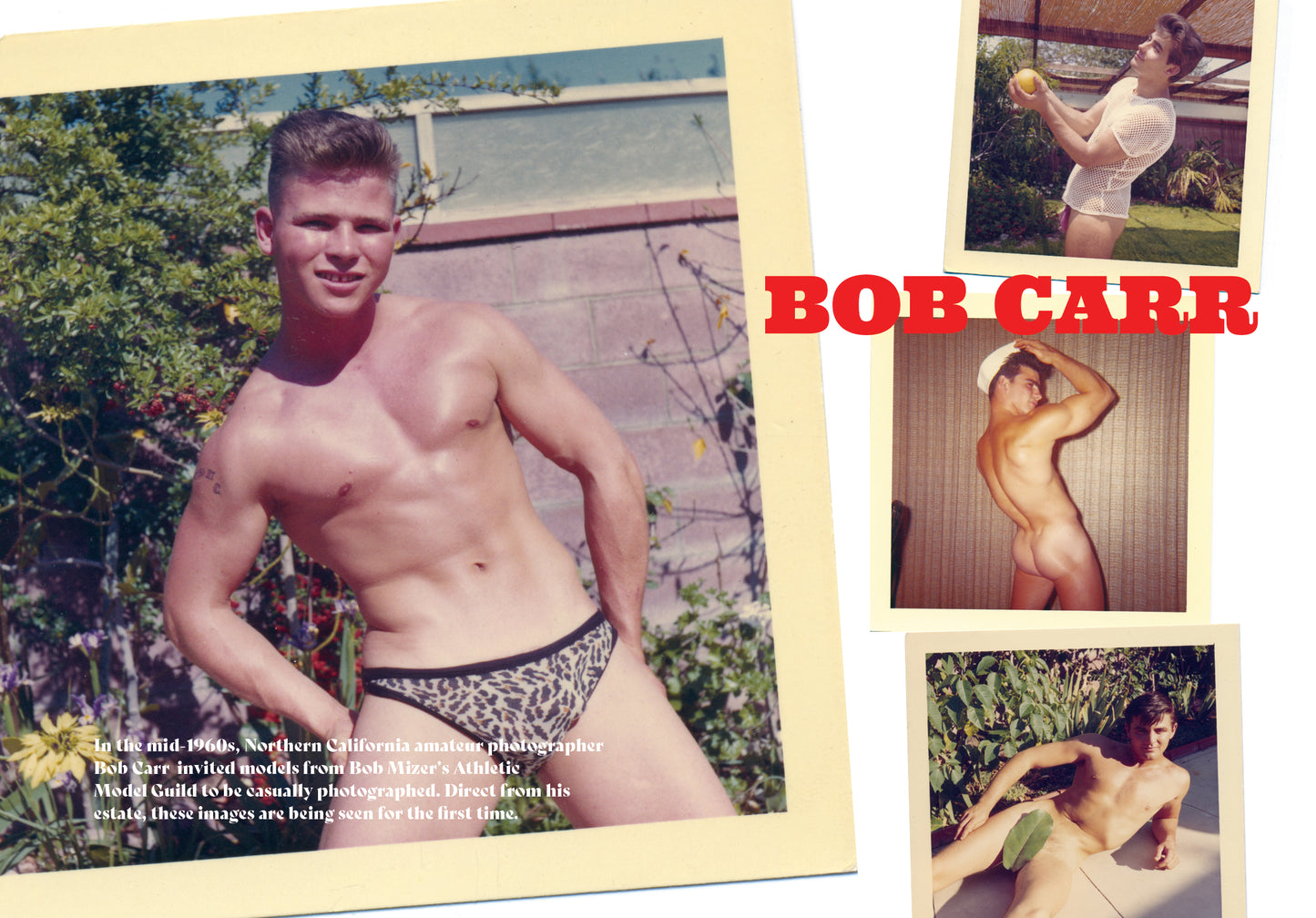 Physique Pictorial Volume 67 [Winter 2023]