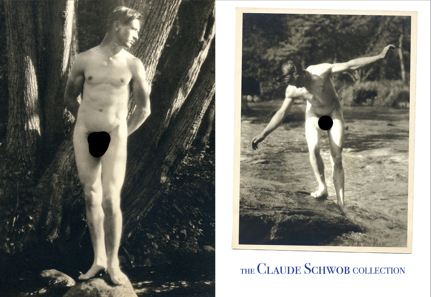 Physique Pictorial Volume 75 [Winter 2025]