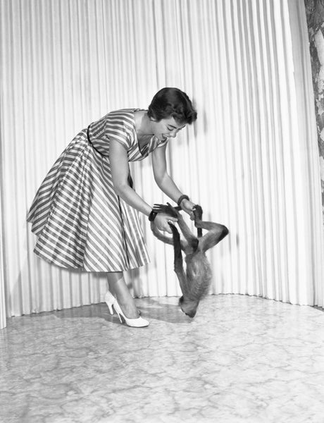 [Woman in striped dress with monkey], Los Angeles